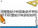 河南登封少林延鲁武术学校好不好(登封少林武校如何)