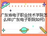 广东省电子职业技术学院怎么样(广东电子职院如何)