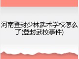 河南登封少林武术学校怎么了(登封武校事件)