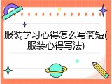 服装学习心得怎么写简短(服装心得写法)