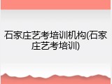 石家庄艺考培训机构(石家庄艺考培训)