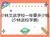 少林文武学校一年要多少钱(少林武校学费)