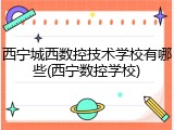 西宁城西数控技术学校有哪些(西宁数控学校)