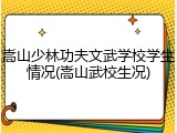 嵩山少林功夫文武学校学生情况(嵩山武校生况)
