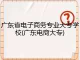 广东省电子商务专业大专学校(广东电商大专)