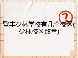 登丰少林学校有几个校区(少林校区数量)