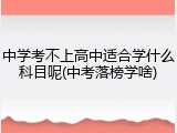 中学考不上高中适合学什么科目呢(中考落榜学啥)
