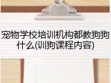 宠物学校培训机构都教狗狗什么(训狗课程内容)