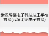 武汉明德电子科技技工学校官网(武汉明德电子官网)
