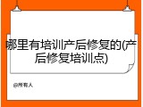 哪里有培训产后修复的(产后修复培训点)
