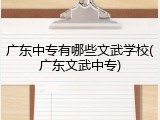 广东中专有哪些文武学校(广东文武中专)