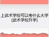 上武术学校可以考什么大学(武术学校升学)