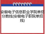 安徽电子信息职业学院单招分数线(安徽电子职院单招线)