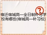 宿迁宿城高一全日制补习学校有哪些(宿城高一补习校)