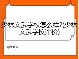 少林文武学校怎么样?(少林文武学校评价)