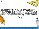 郑州登封塔沟武术学校属于哪个区(登封塔沟武校所属区)