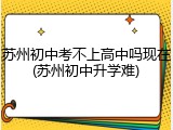 苏州初中考不上高中吗现在(苏州初中升学难)