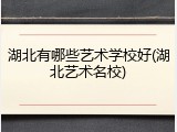 湖北有哪些艺术学校好(湖北艺术名校)