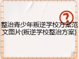 整治青少年叛逆学校方案范文图片(叛逆学校整治方案)