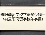 贵阳商贸学校学费多少钱一年(贵阳商贸学校年学费)