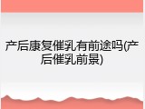 产后康复催乳有前途吗(产后催乳前景)