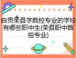 自贡荣县学数控专业的学校有哪些职中生(荣县职中数控专业)