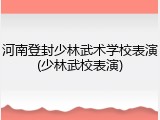 河南登封少林武术学校表演(少林武校表演)