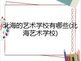 北海的艺术学校有哪些(北海艺术学校)