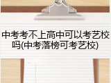 中考考不上高中可以考艺校吗(中考落榜可考艺校)