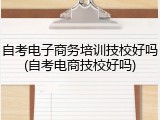 自考电子商务培训技校好吗(自考电商技校好吗)