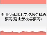 嵩山少林武术学校怎么样靠谱吗(嵩山武校靠谱吗)