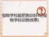 宠物学校能把狗训好吗(宠物学校训狗效果)