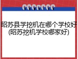 昭苏县学挖机在哪个学校好(昭苏挖机学校哪家好)