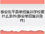泰安东平县单招集训学校要什么条件(泰安单招集训条件)