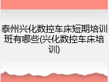 泰州兴化数控车床短期培训班有哪些(兴化数控车床培训)