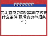 昆明宜良县单招集训学校要什么条件(昆明宜良单招条件)
