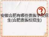 安徽合肥有哪些贵族学校招生(合肥贵族校招生)