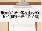 母猪的产后护理在生物学中地位(母猪产后生物护理)