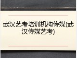武汉艺考培训机构传媒(武汉传媒艺考)