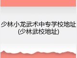 少林小龙武术中专学校地址(少林武校地址)