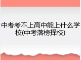 中考考不上高中能上什么学校(中考落榜择校)