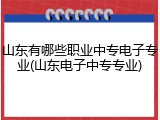 山东有哪些职业中专电子专业(山东电子中专专业)