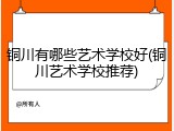 铜川有哪些艺术学校好(铜川艺术学校推荐)