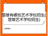 楚雄有哪些艺术学校招生(楚雄艺术学校招生)