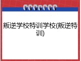 叛逆学校特训学校(叛逆特训)