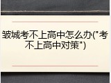 皱城考不上高中怎么办("考不上高中对策")