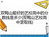 双鸭山最好的艺校高中的分数线是多少(双鸭山艺校高中录取线)