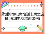 深圳跨境电商培训电商怎么样(深圳电商培训如何)