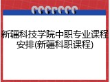 新疆科技学院中职专业课程安排(新疆科职课程)