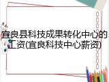 宜良县科技成果转化中心的工资(宜良科技中心薪资)